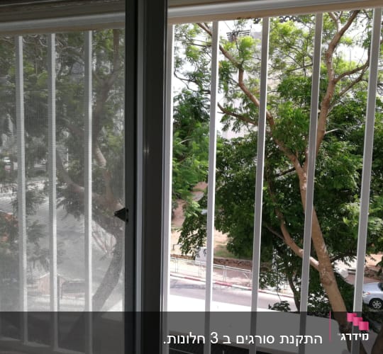חלון עם סורגים ועץ ברקע